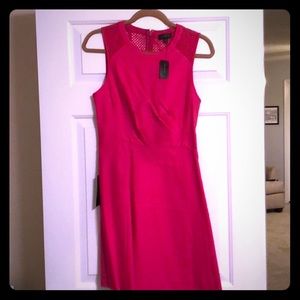 The Limited sleeveless dress
